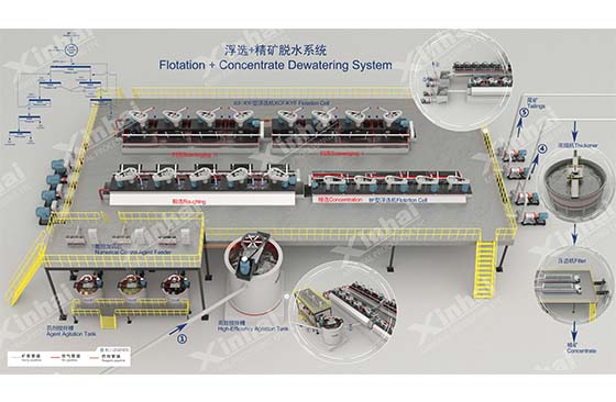 Flotation + Concentrate Dewatering System.jpg Flotation + Concentrate Dewatering System.jpg
